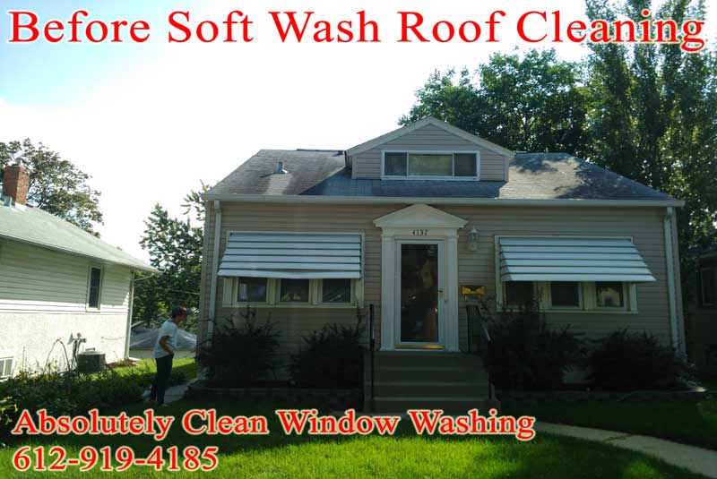 Gutter Cleaning, Sky Light Cleaning, Power Washing