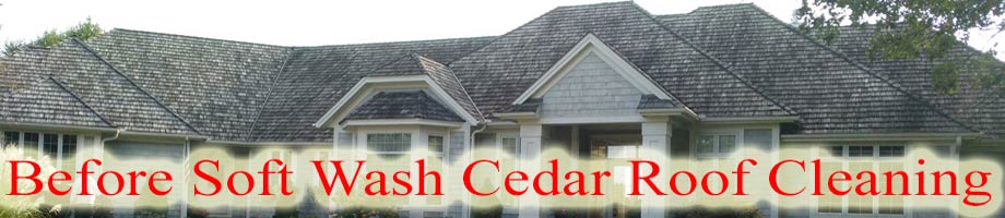 Minnesota Cedar Roof Cleaning Service Area Before Softwashing