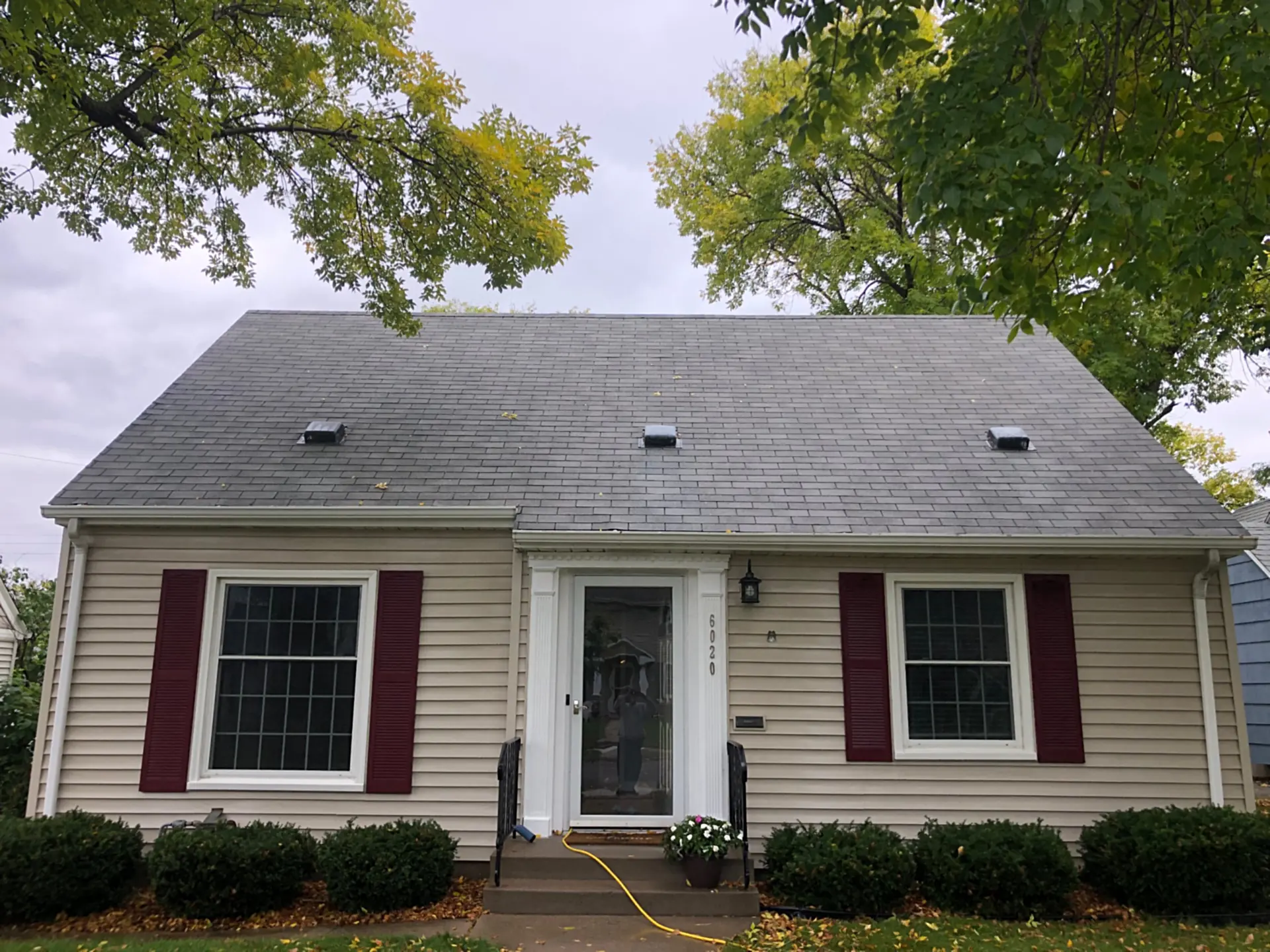 MN roof cleaning