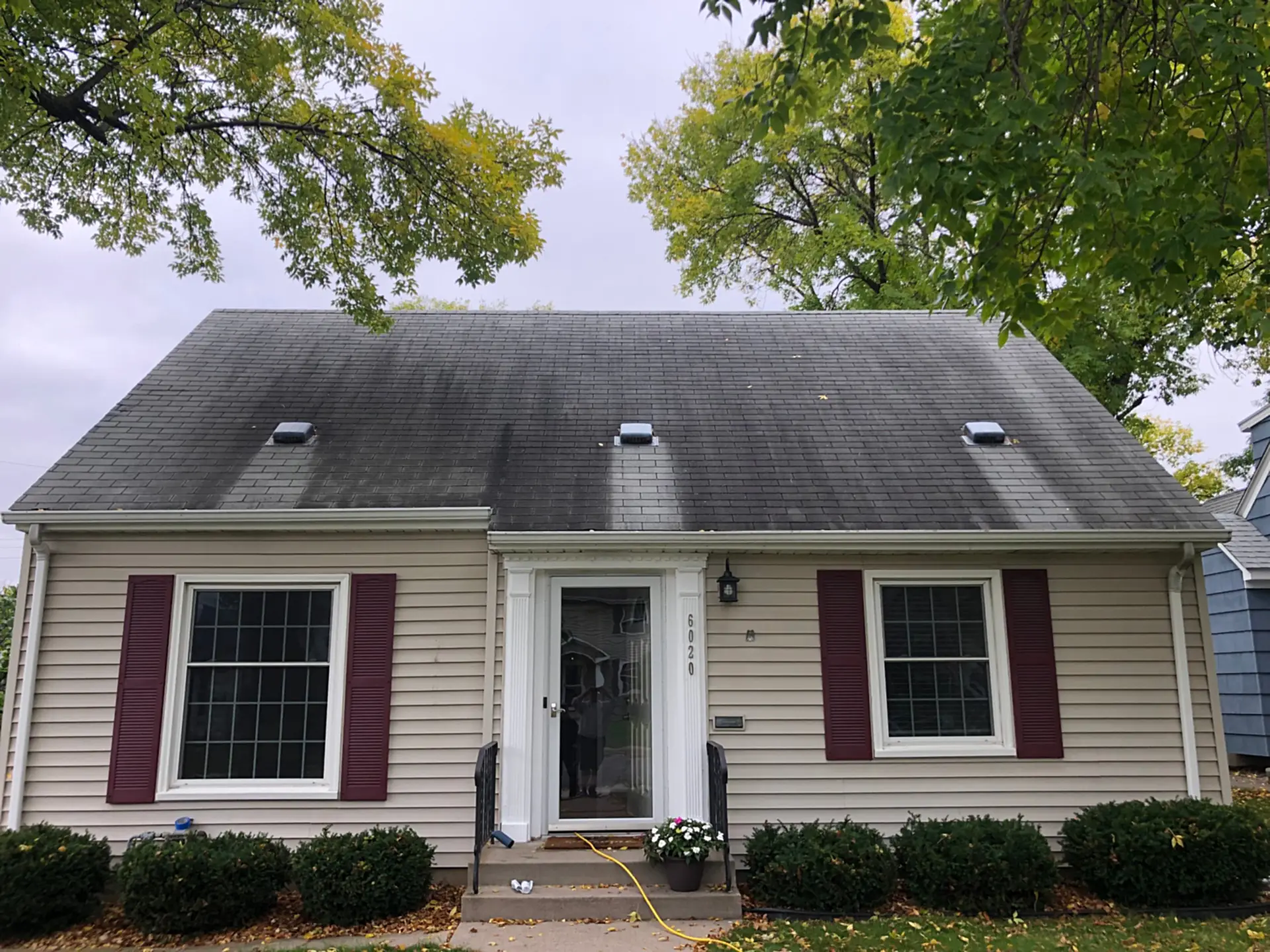 MN roof cleaning